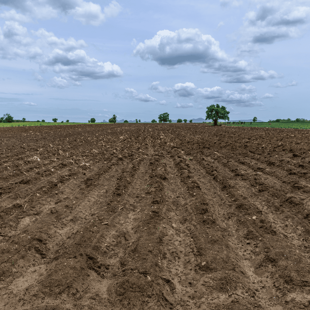 Plowed field ready for planting