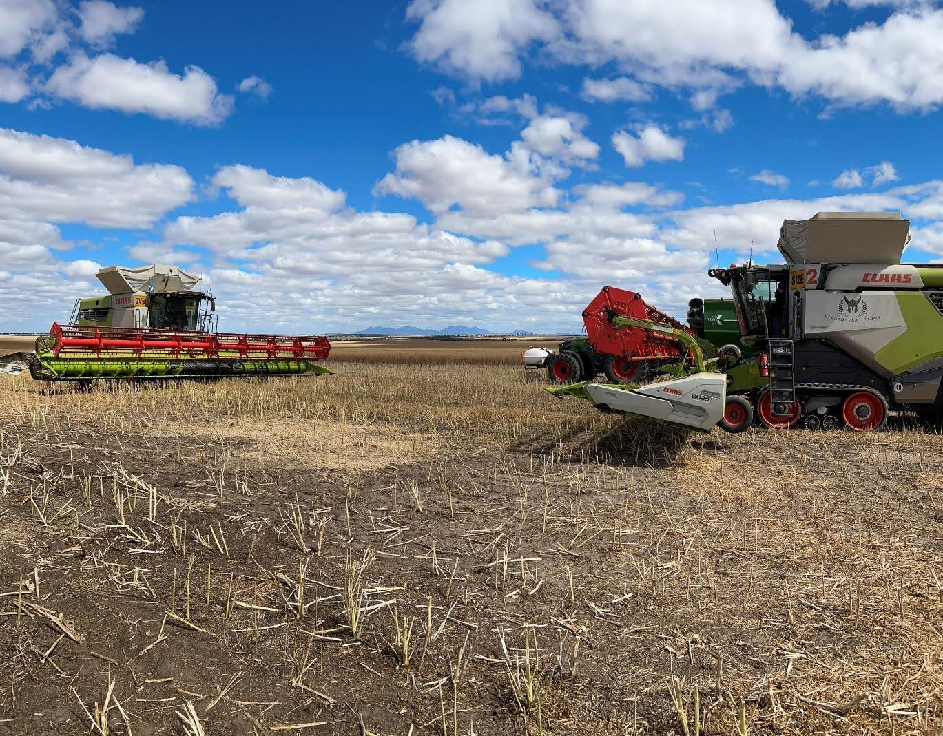 Strathaven Farms harvest in full swing, north of the Stirling Ranges